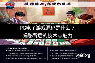 PG电子游戏源码是什么？揭秘背后的技术与魅力